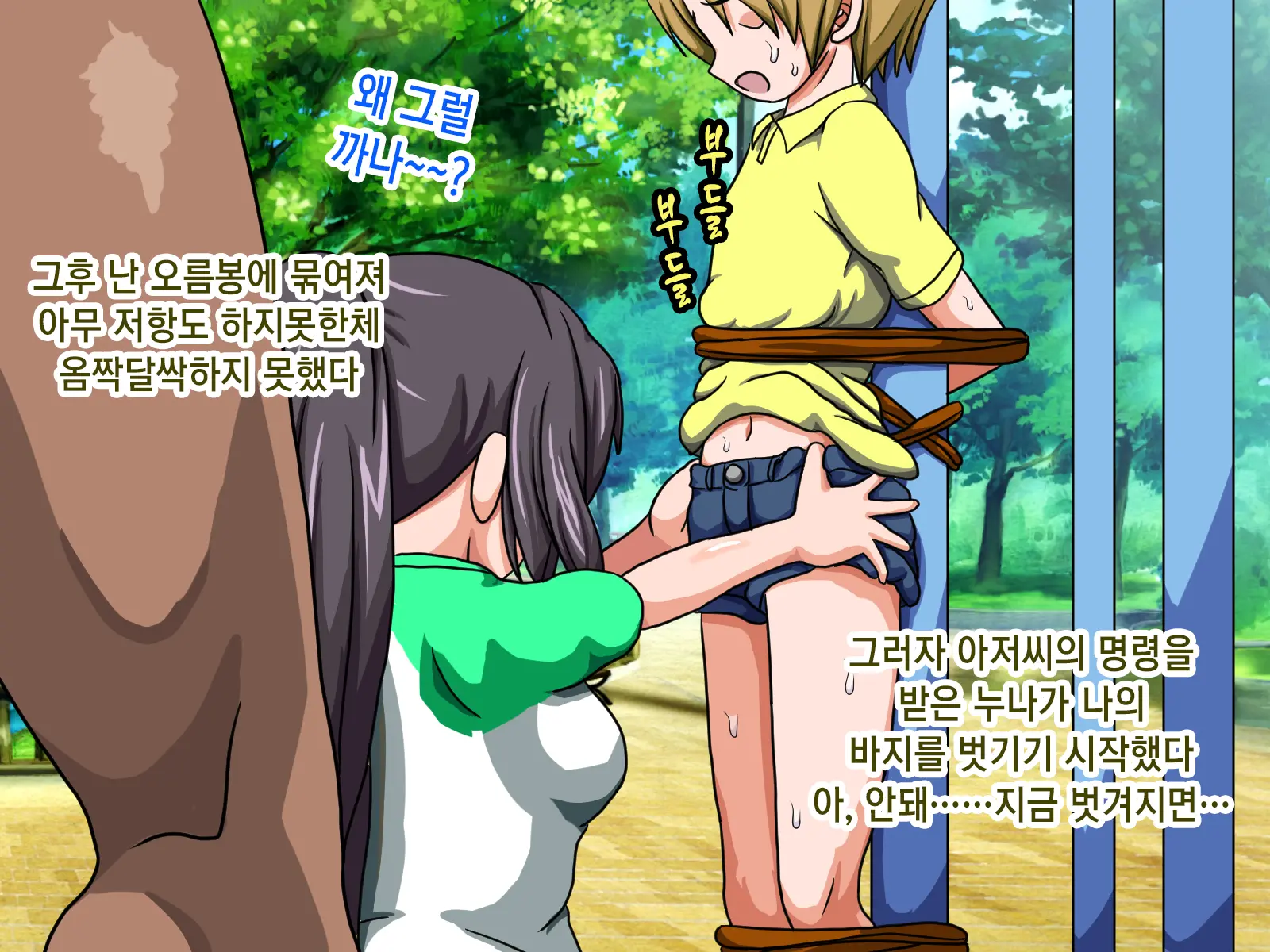 Iinari Saimin Koen ~Boku No Menomaede Daisukina Onechanga......~